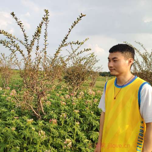 37岁岁广东单身帅哥 - 盘锦吉缘网